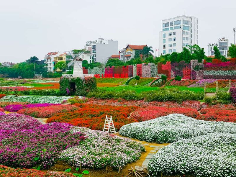 Vẻ Đẹp Thiên Nhiên Của Bãi Đá Sông Hồng