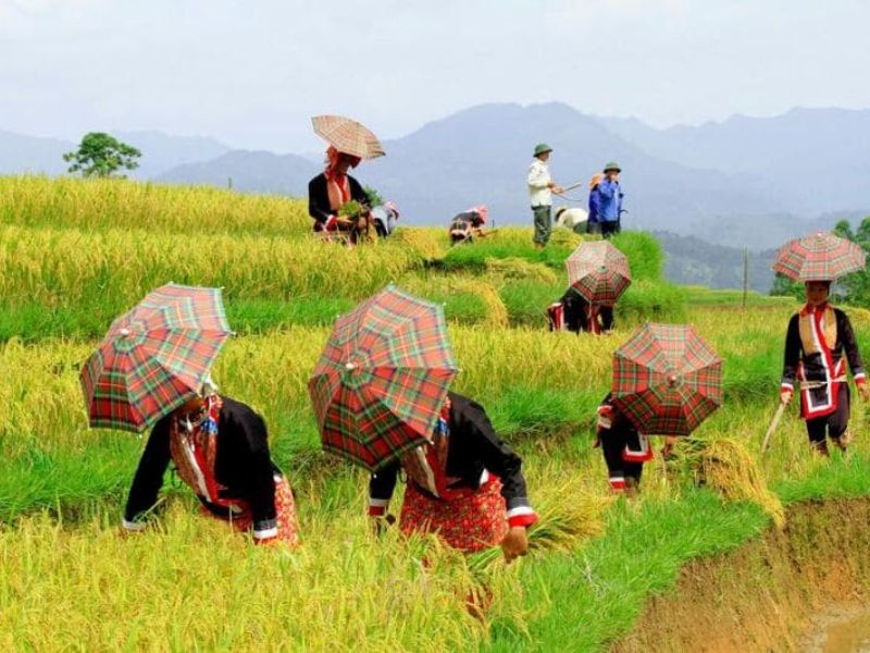 Làng Văn Hóa Các Dân Tộc